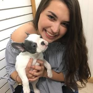 Meet your Posher, Bailey